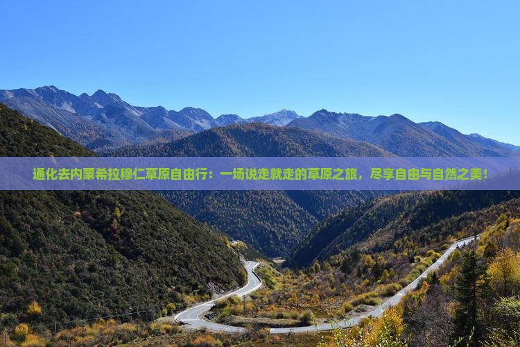 通化去内蒙希拉穆仁草原自由行