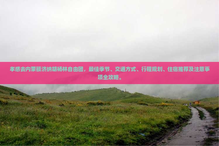 孝感去内蒙额济纳胡杨林自由团