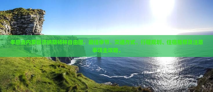 孝感去内蒙额济纳胡杨林自由团