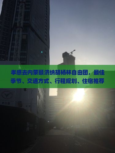 孝感去内蒙额济纳胡杨林自由团