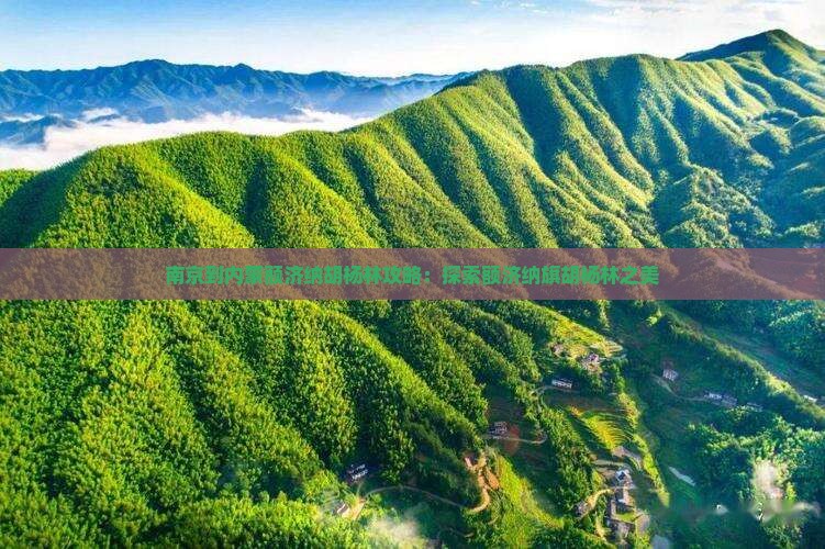 南京到内蒙额济纳胡杨林哪里玩
