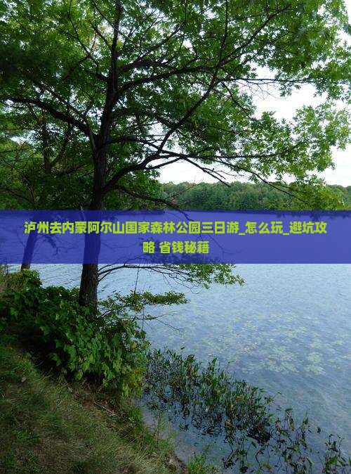 泸州去内蒙阿尔山国家森林公园三日游
