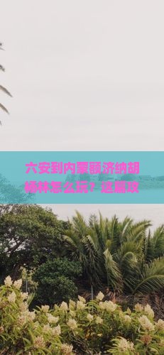 六安到内蒙额济纳胡杨林哪里玩