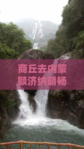 商丘去内蒙额济纳胡杨林个人游