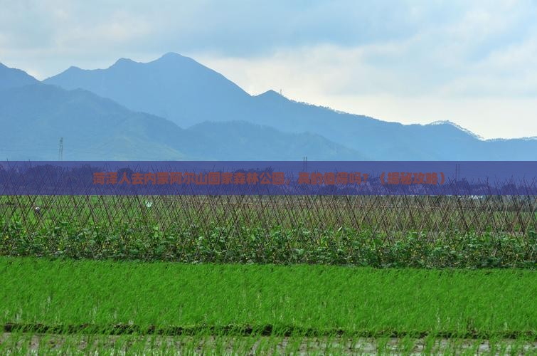 菏泽去内蒙阿尔山国家森林公园旅游