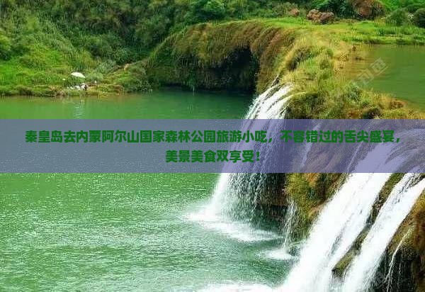秦皇岛去内蒙阿尔山国家森林公园旅游小吃