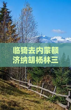 临猗去内蒙额济纳胡杨林三日游