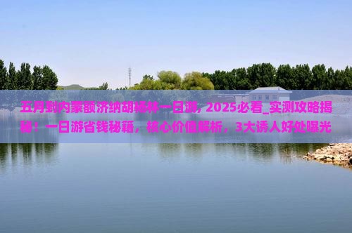 五月到内蒙额济纳胡杨林一日游