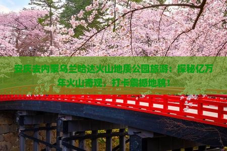 安庆去内蒙乌兰哈达火山地质公园旅游