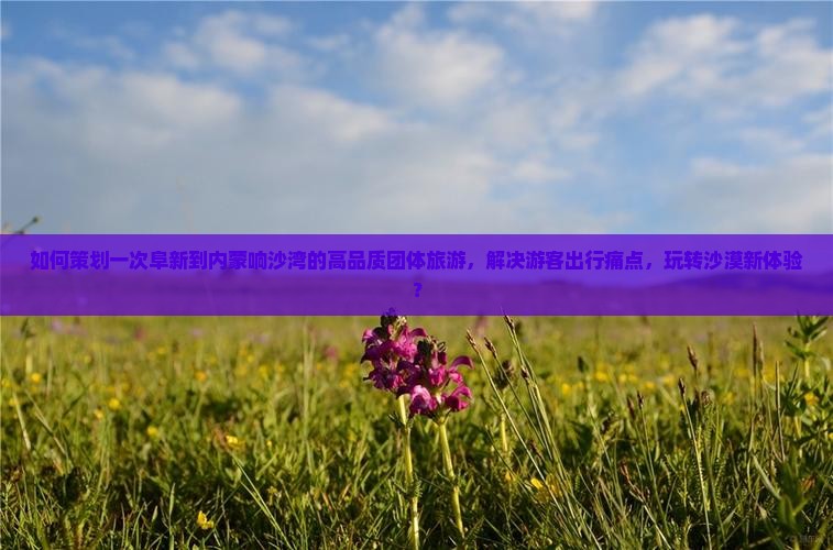 阜新到内蒙响沙湾团体旅游