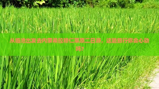 临沧到内蒙希拉穆仁草原二日游