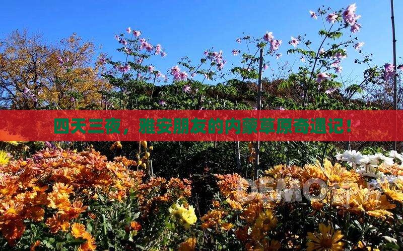 雅安去内蒙四日游