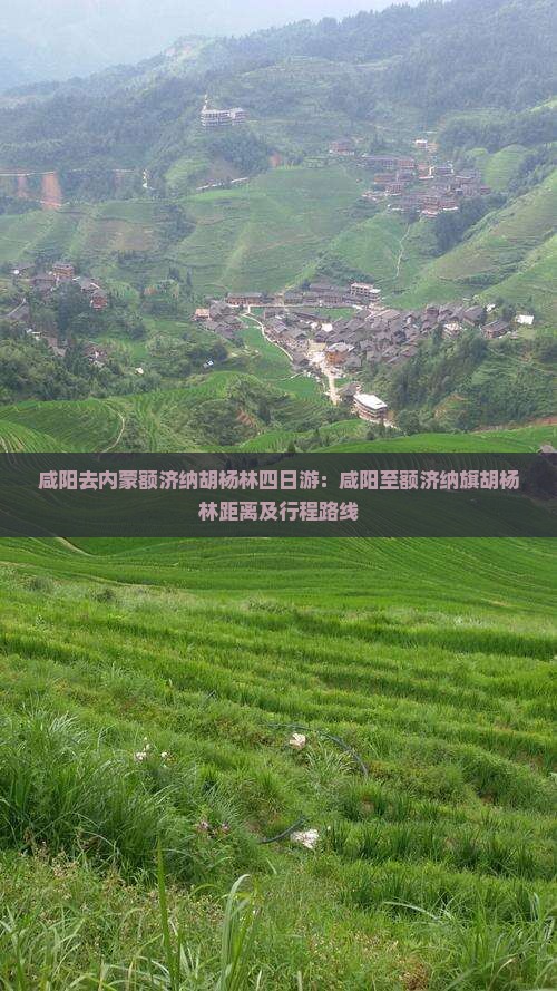 咸阳去内蒙额济纳胡杨林四日游