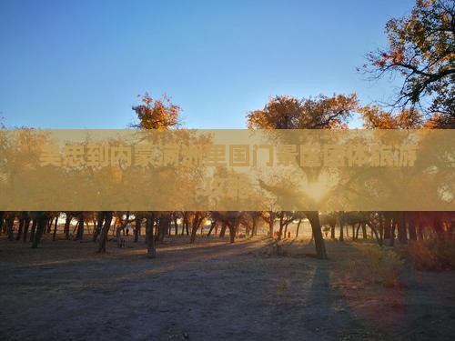 吴忠到内蒙满洲里国门景区团体旅游