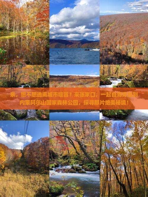 张家口去内蒙阿尔山国家森林公园必去地