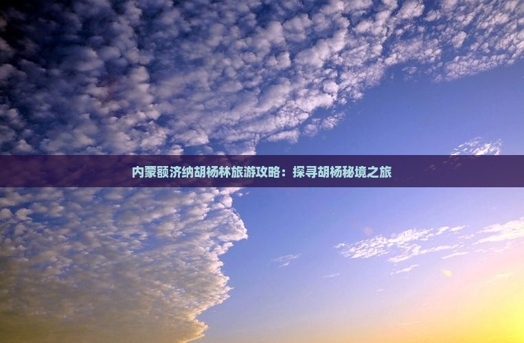 蚌埠到内蒙额济纳胡杨林旅游小吃