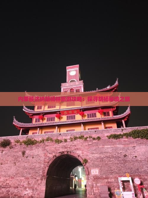 蚌埠到内蒙额济纳胡杨林旅游小吃