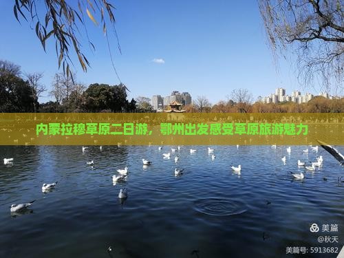 鄂州去内蒙希拉穆仁草原二日游