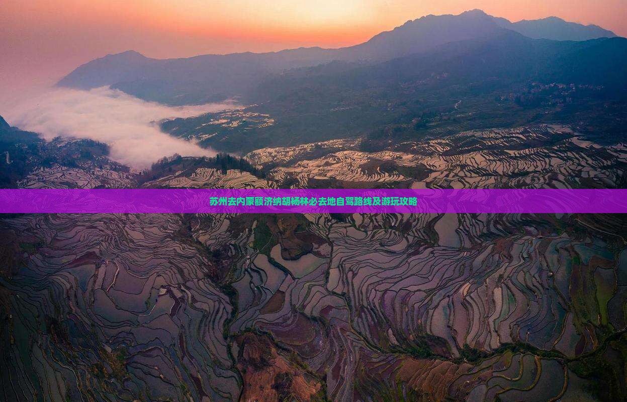 苏州去内蒙额济纳胡杨林必去地