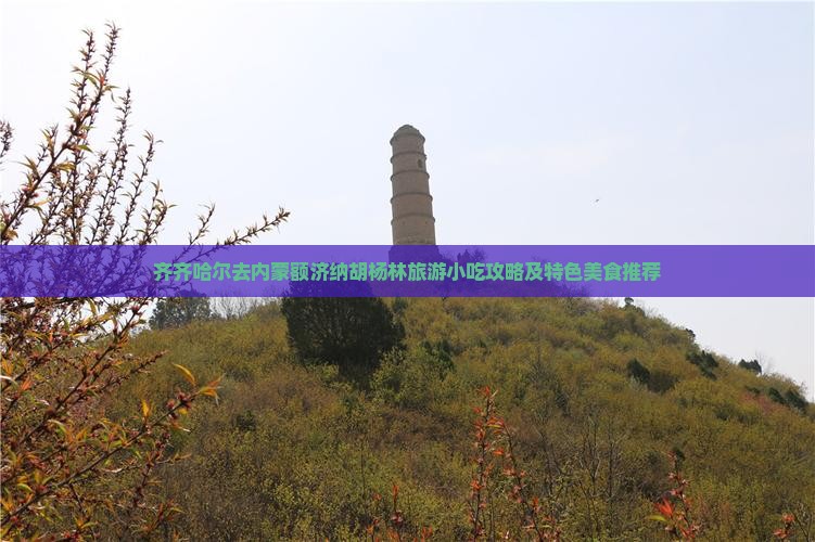 齐齐哈尔去内蒙额济纳胡杨林旅游小吃