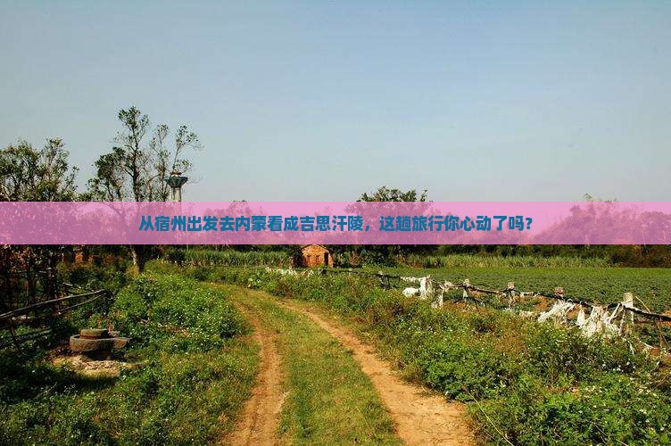 宿州到内蒙成吉思汗陵旅游