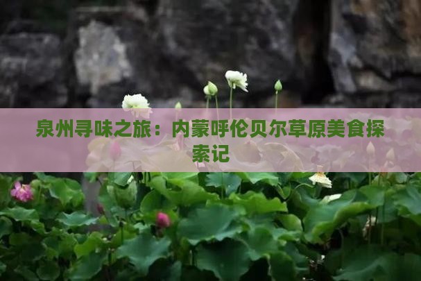 泉州到内蒙呼伦贝尔大草原旅游小吃
