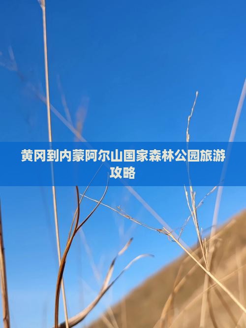 黄冈到内蒙阿尔山国家森林公园自由行 黄冈到内蒙阿尔山国家森林公园自由行