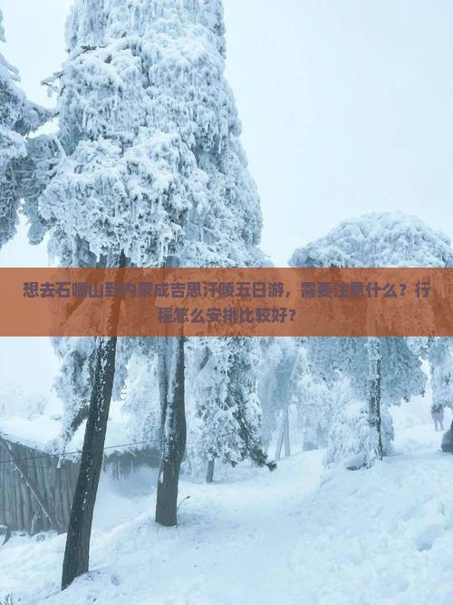 石嘴山去内蒙成吉思汗陵五日游