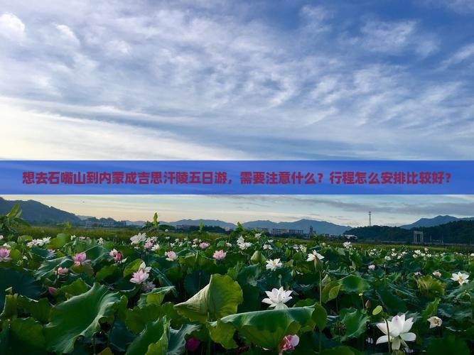 石嘴山去内蒙成吉思汗陵五日游