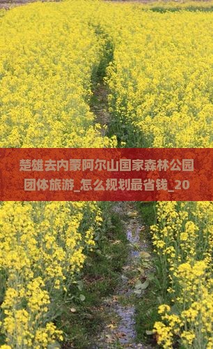 楚雄去内蒙阿尔山国家森林公园团体旅游