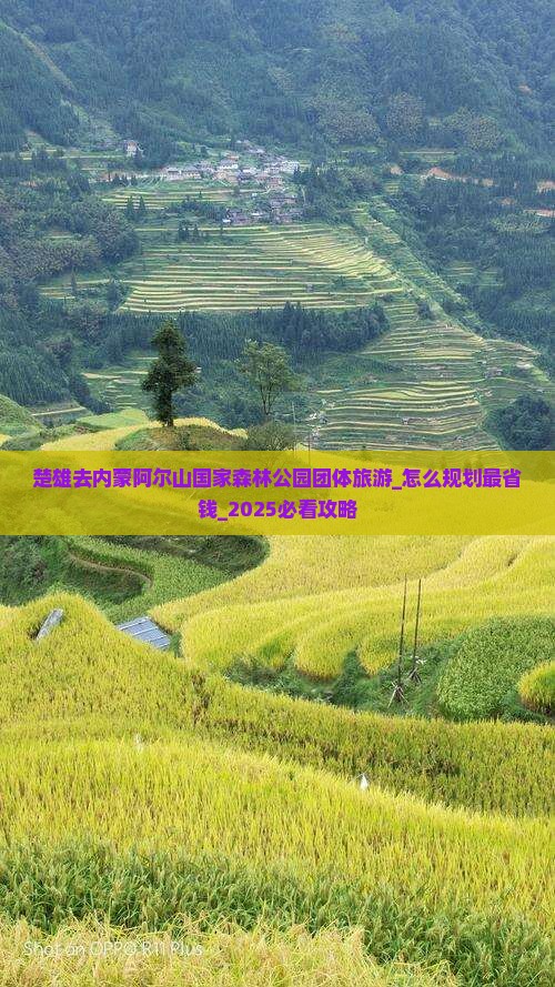 楚雄去内蒙阿尔山国家森林公园团体旅游
