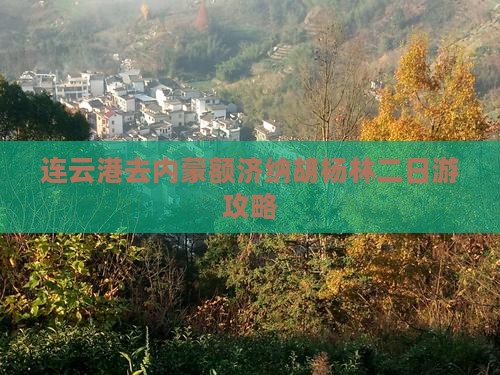 连云港去内蒙额济纳胡杨林二日游
