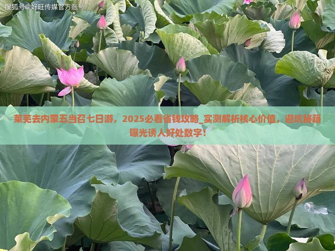 莱芜去内蒙五当召七日游