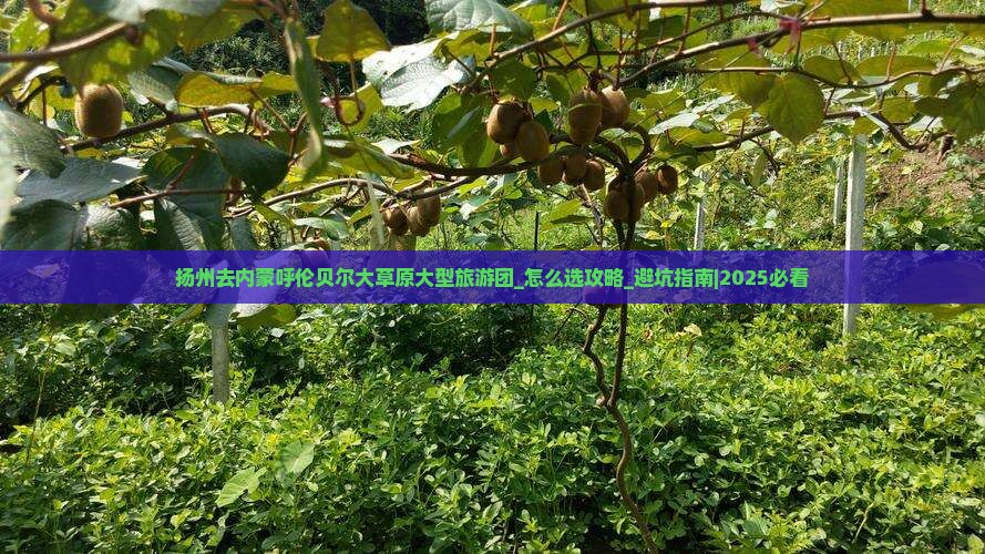 扬州去内蒙呼伦贝尔大草原大型旅游团