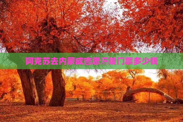 阿克苏去内蒙成吉思汗陵门票