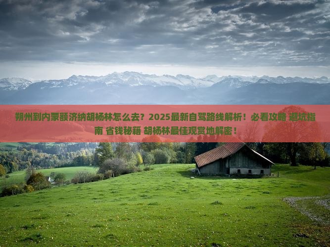 朔州到内蒙额济纳胡杨林必去地