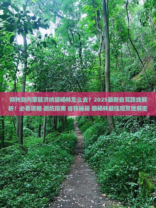 朔州到内蒙额济纳胡杨林必去地
