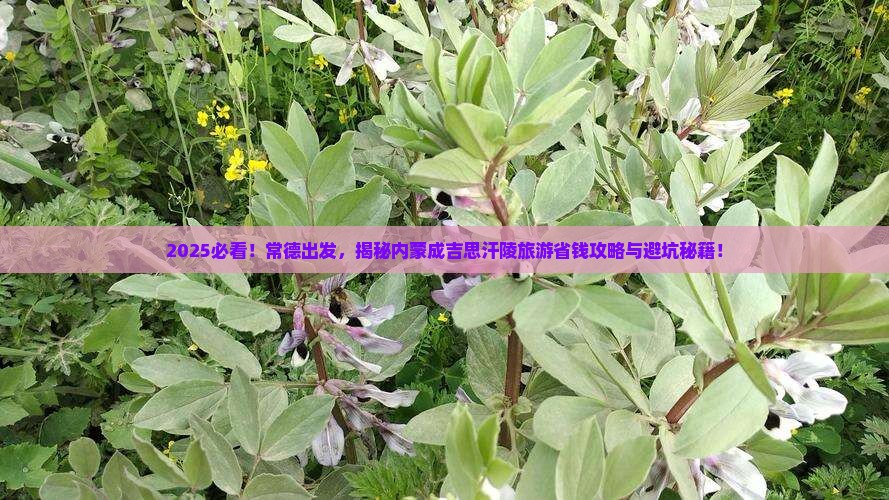 常德到内蒙成吉思汗陵旅游