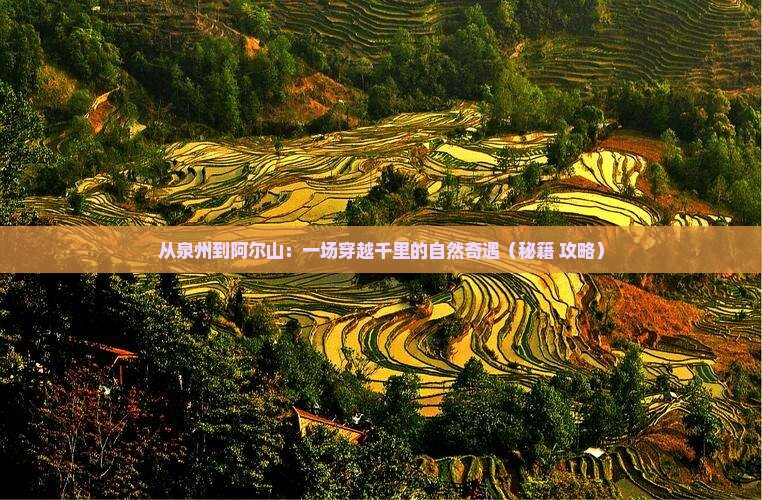 泉州去内蒙阿尔山国家森林公园必去地