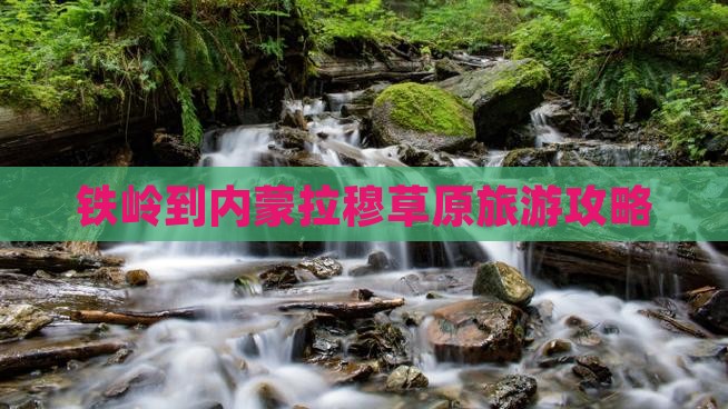 铁岭到内蒙希拉穆仁草原个人游