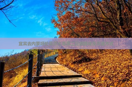 宜宾去内蒙呼伦贝尔大草原二日游