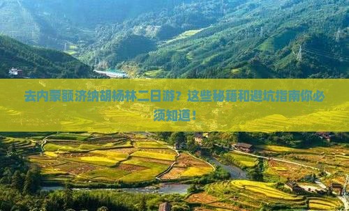 来宾去内蒙额济纳胡杨林二日游 来宾去内蒙额济纳胡杨林二日游