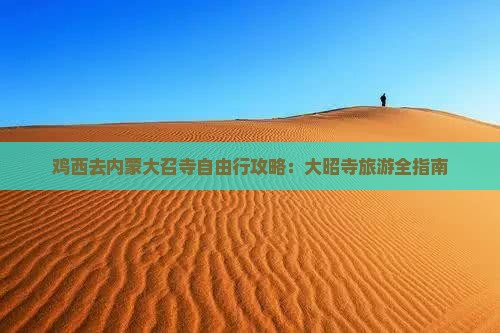 鸡西去内蒙大召寺自由行