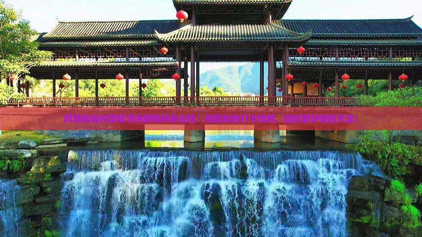 阿勒泰去内蒙额济纳胡杨林必去地