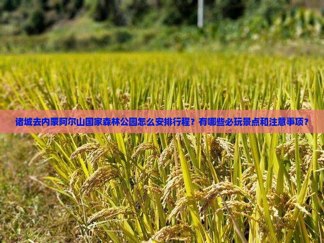 诸城去内蒙阿尔山国家森林公园哪里玩
