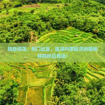 荆门到内蒙额济纳胡杨林个人游