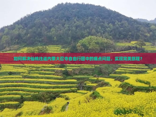 仙桃去内蒙大召寺自由团