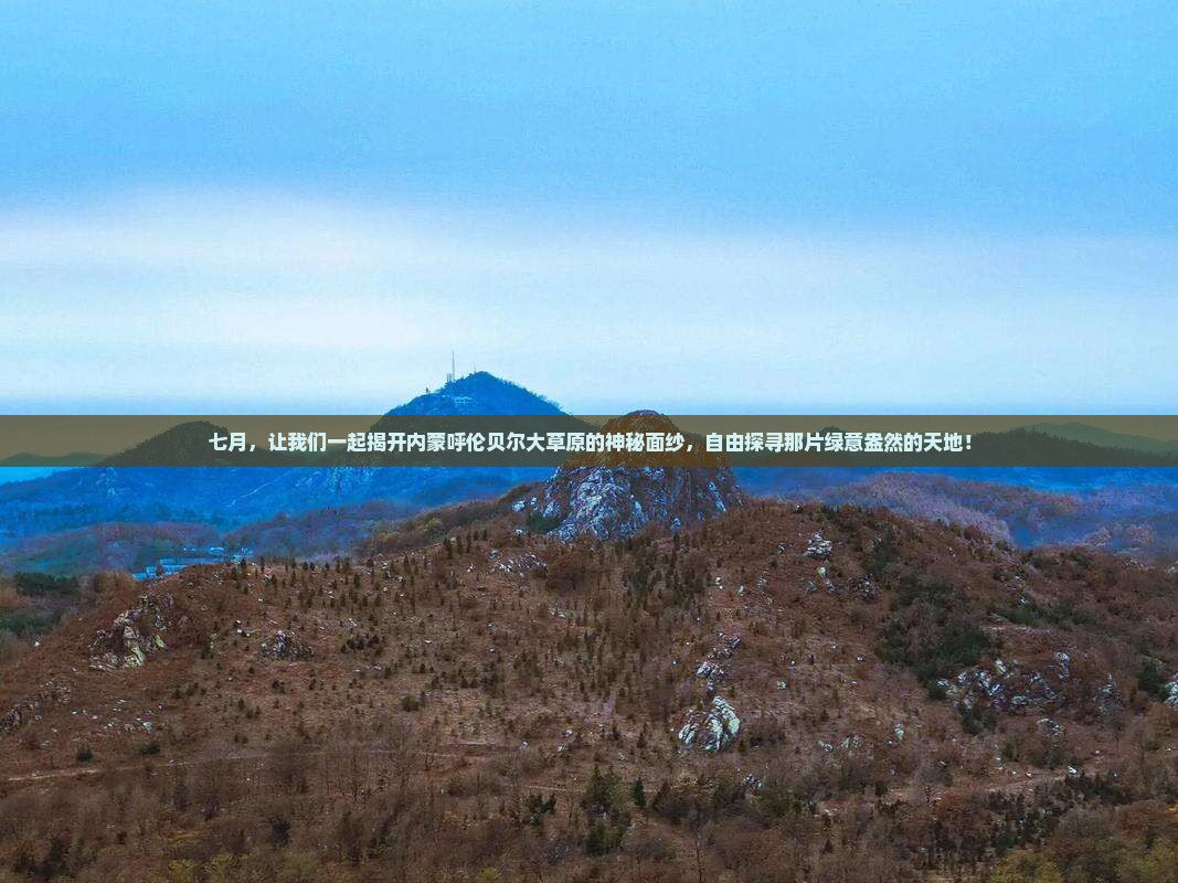 七月去内蒙呼伦贝尔大草原自由团