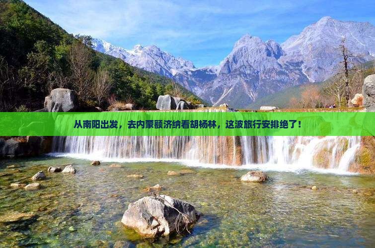 南阳去内蒙额济纳胡杨林旅游