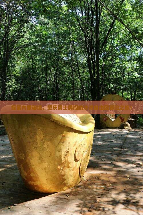 肇庆到内蒙响沙湾自由团